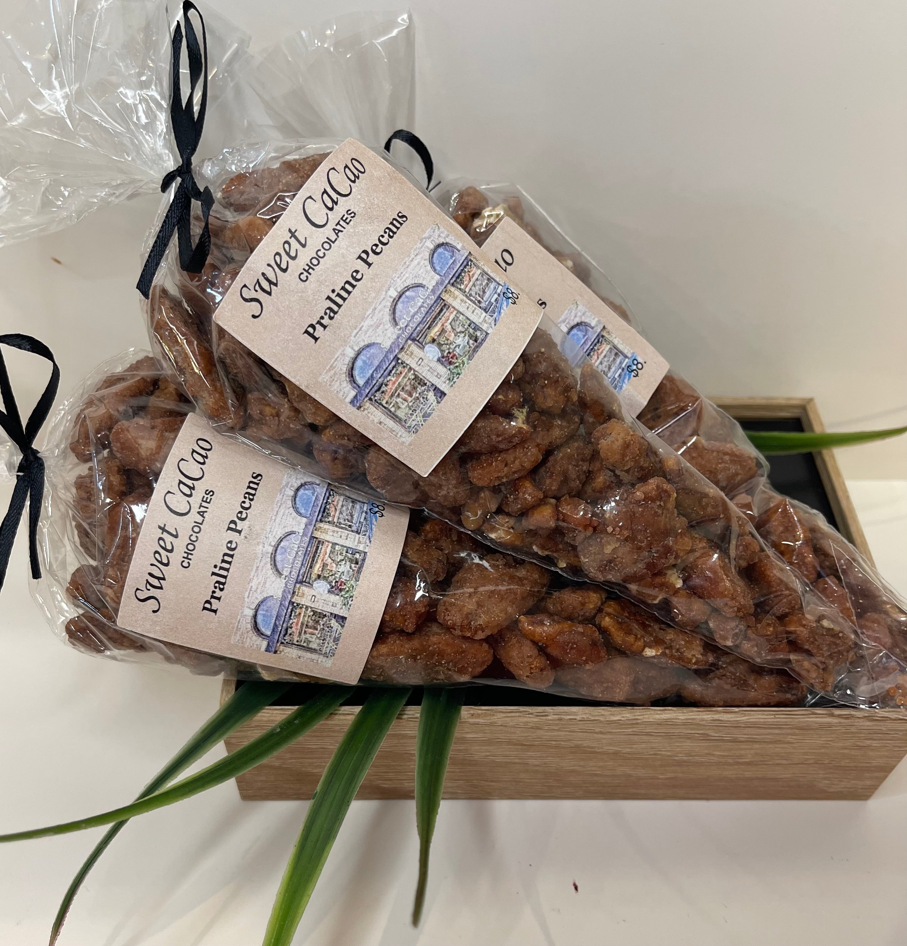 Praline Pecans Sweet Cacao Chocolates 4792