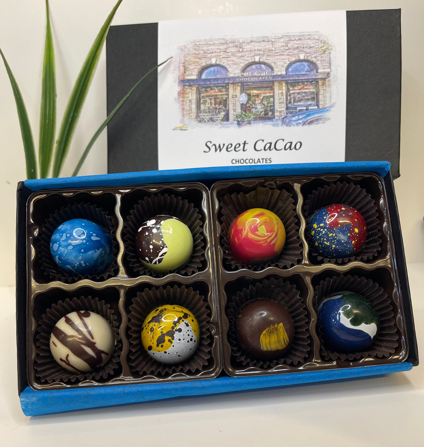 8 Piece Truffle Box
